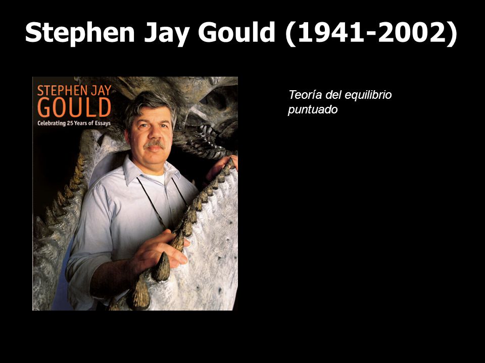 Stephen Jay Gould ( ) Teoría del equilibrio puntuado