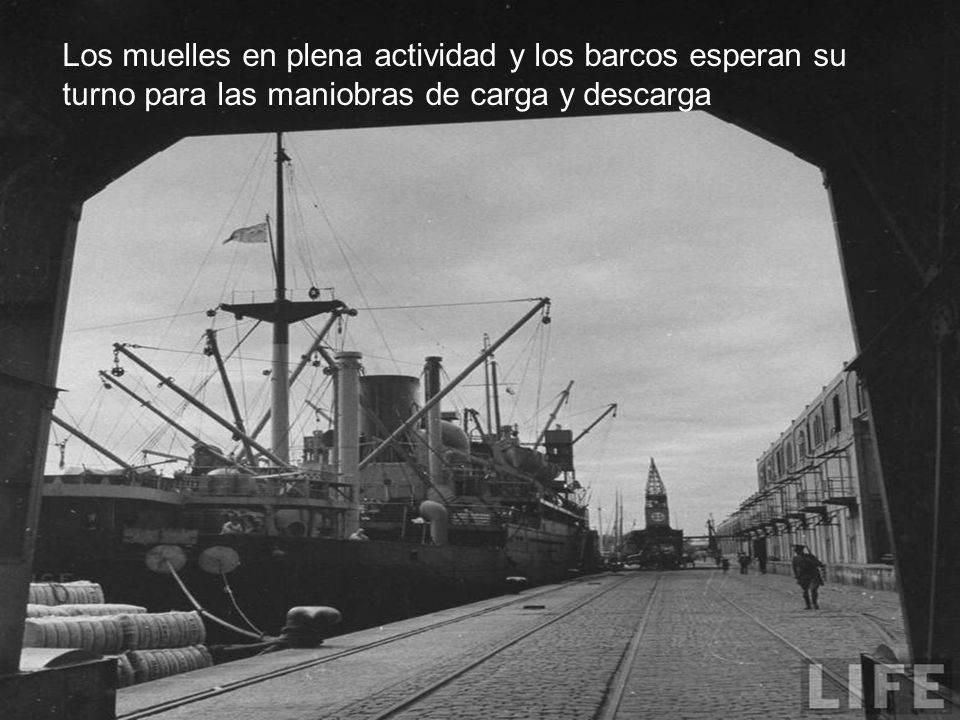 Los muelles en plena actividad y los barcos esperan su turno para las maniobras de carga y descarga