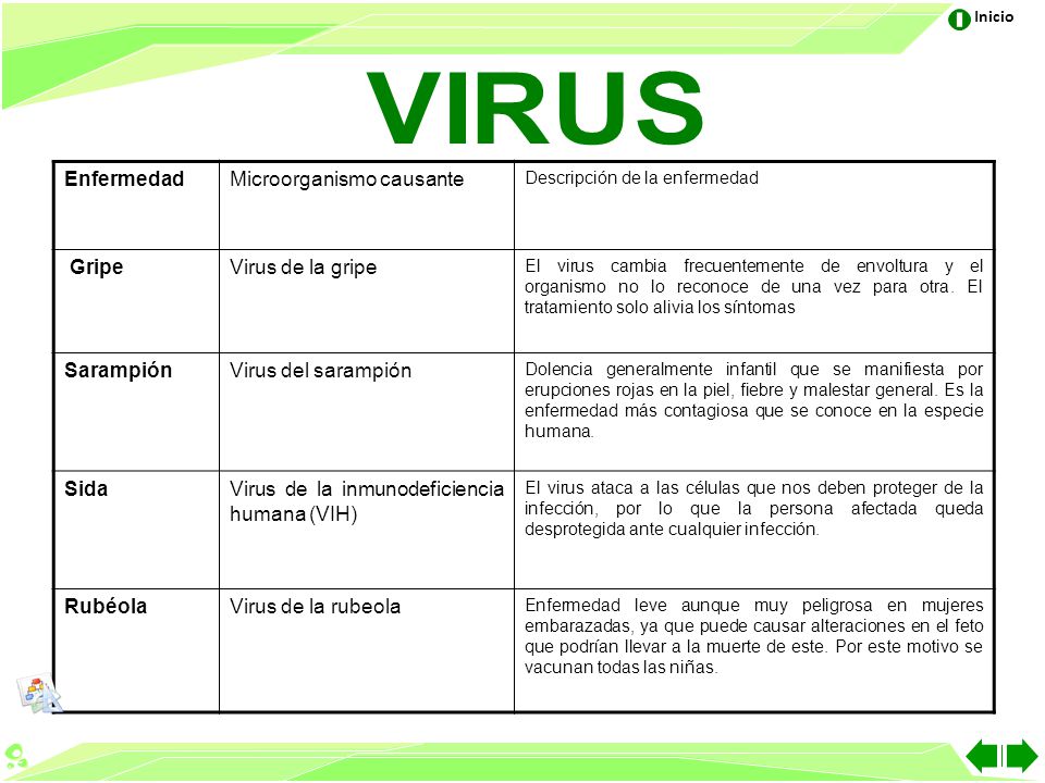 VIRUS Enfermedad Microorganismo causante Gripe Virus de la gripe