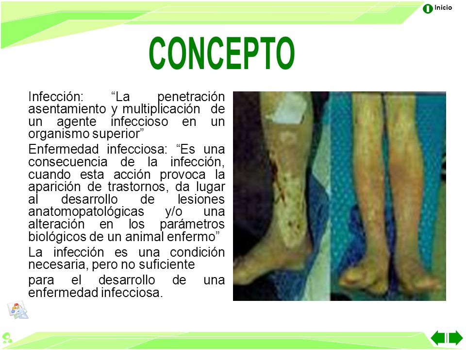 CONCEPTO Infección: La penetración asentamiento y multiplicación de un agente infeccioso en un organismo superior