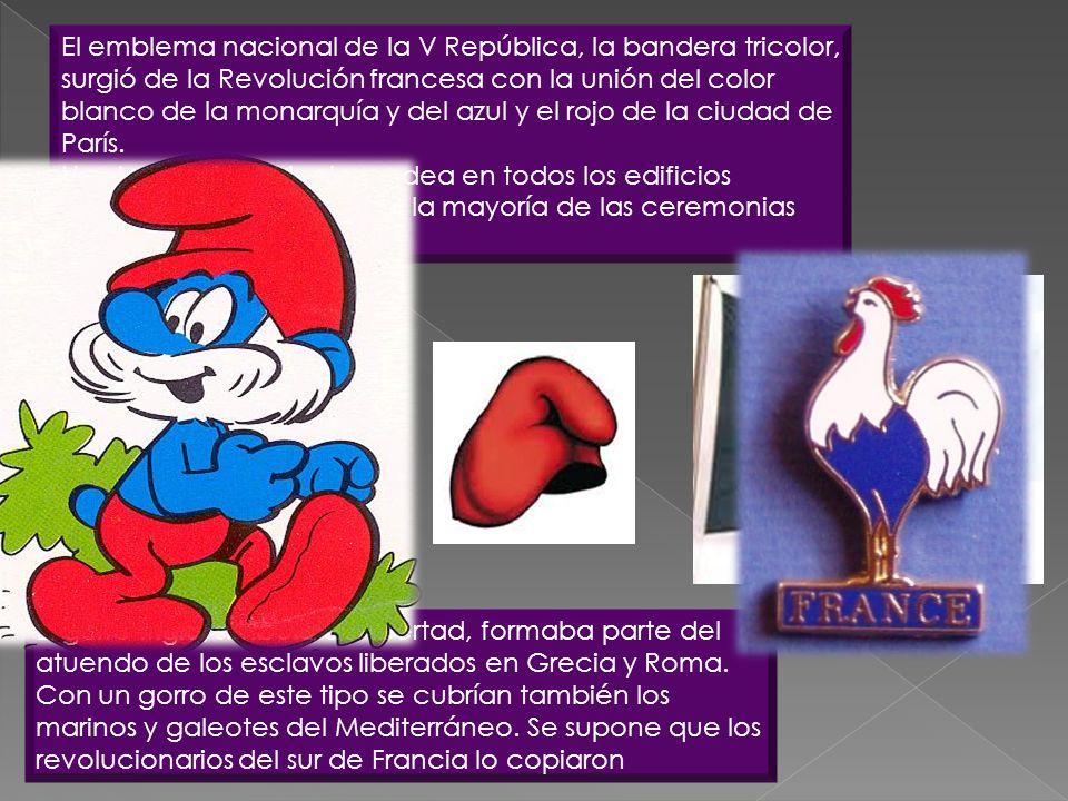 El emblema nacional de la V República, la bandera tricolor, surgió de la Revolución francesa con la unión del color blanco de la monarquía y del azul y el rojo de la ciudad de París.