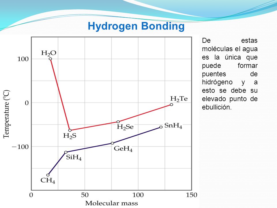 Hydrogen Bonding De estas moléculas el agua es la única que puede formar puentes de hidrógeno y a esto se debe su elevado punto de ebullición.