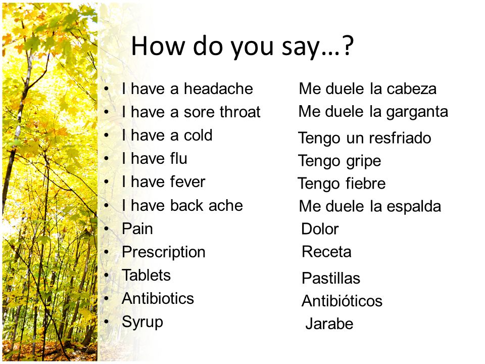 How do you say… I have a headache I have a sore throat I have a cold