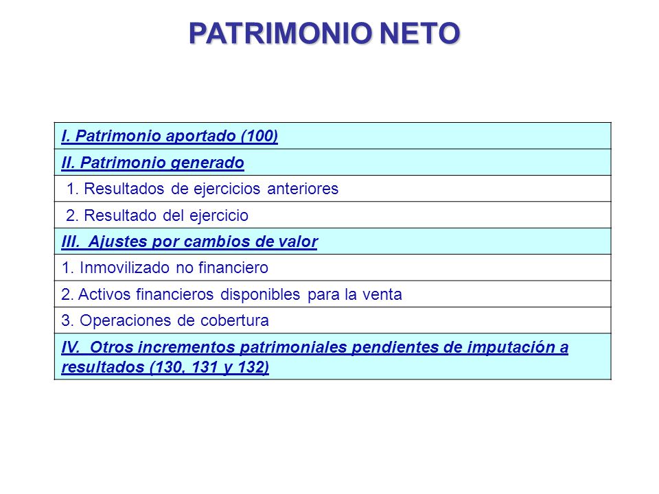 PATRIMONIO NETO I. Patrimonio aportado (100) II. Patrimonio generado