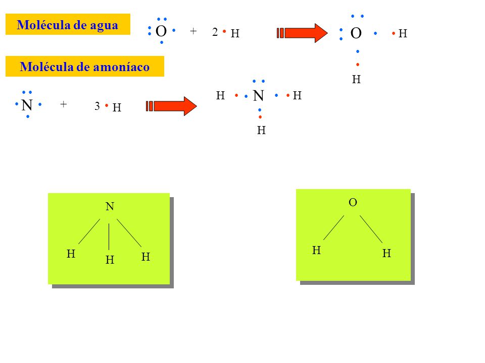 O H O Molécula de agua + H 2 Molécula de amoníaco N H N + H 3 O H N H