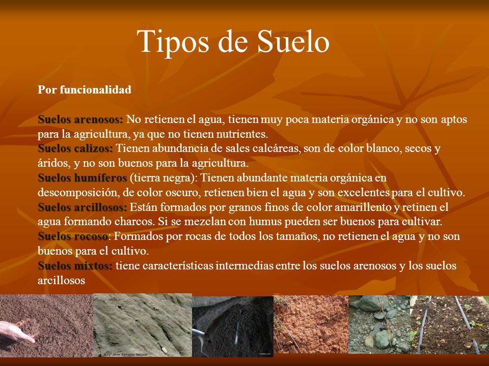 Tipos de Suelo Por funcionalidad