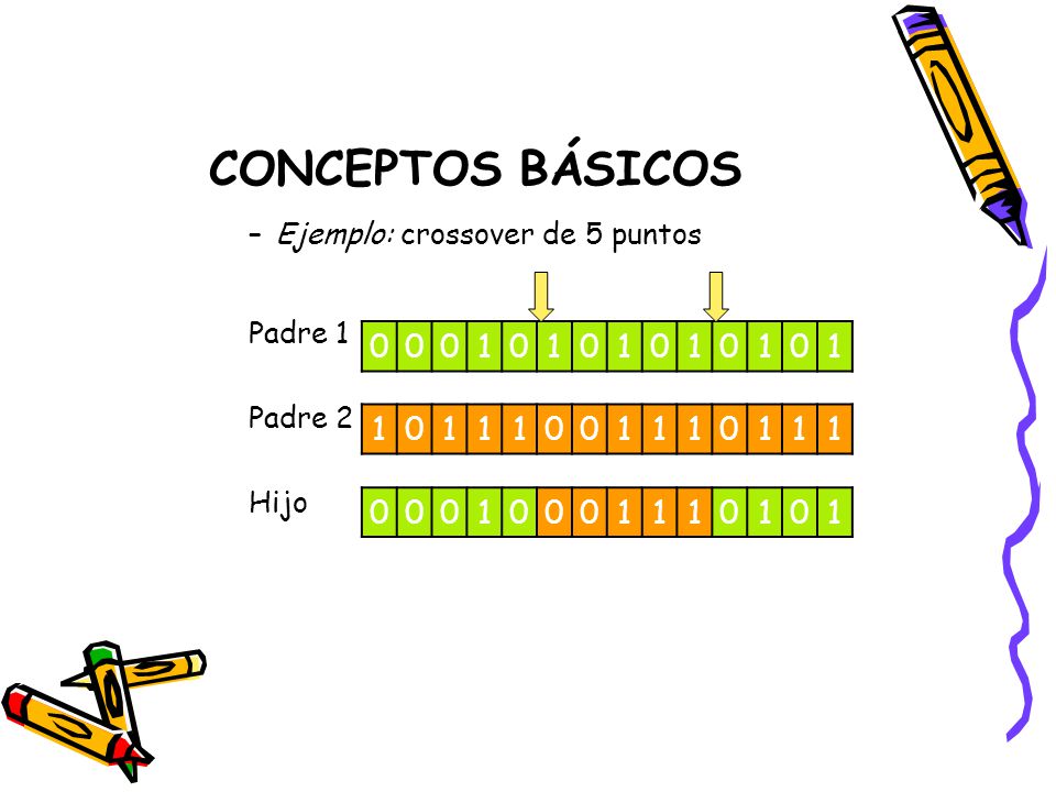 CONCEPTOS BÁSICOS Ejemplo: crossover de 5 puntos Padre 1 Padre 2