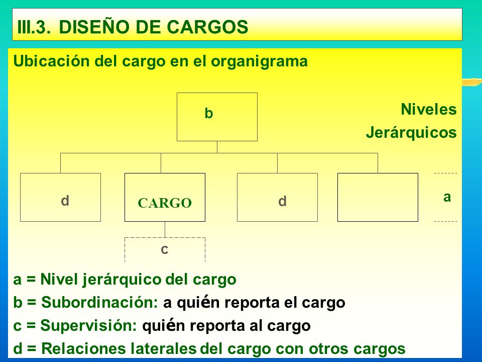 III.3. DISEÑO DE CARGOS Niveles Ubicación del cargo en el organigrama