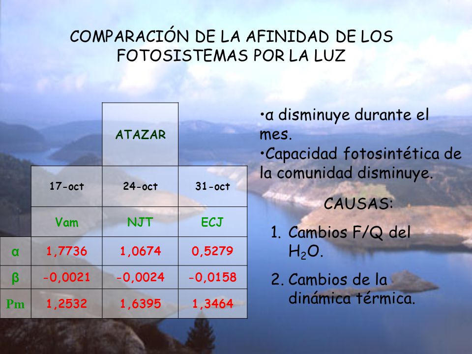 COMPARACIÓN DE LA AFINIDAD DE LOS FOTOSISTEMAS POR LA LUZ