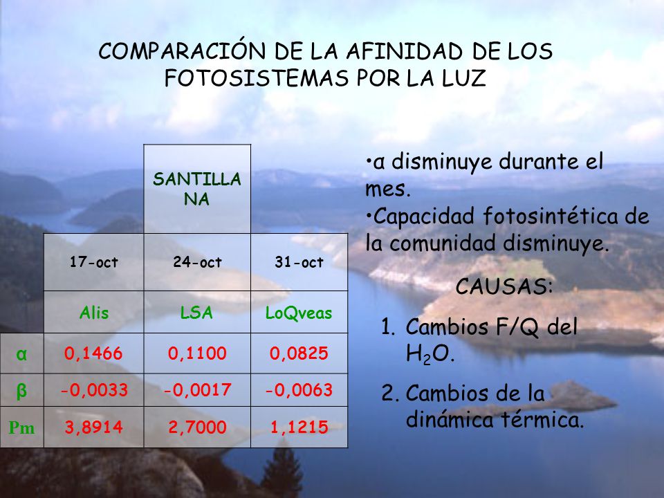 COMPARACIÓN DE LA AFINIDAD DE LOS FOTOSISTEMAS POR LA LUZ