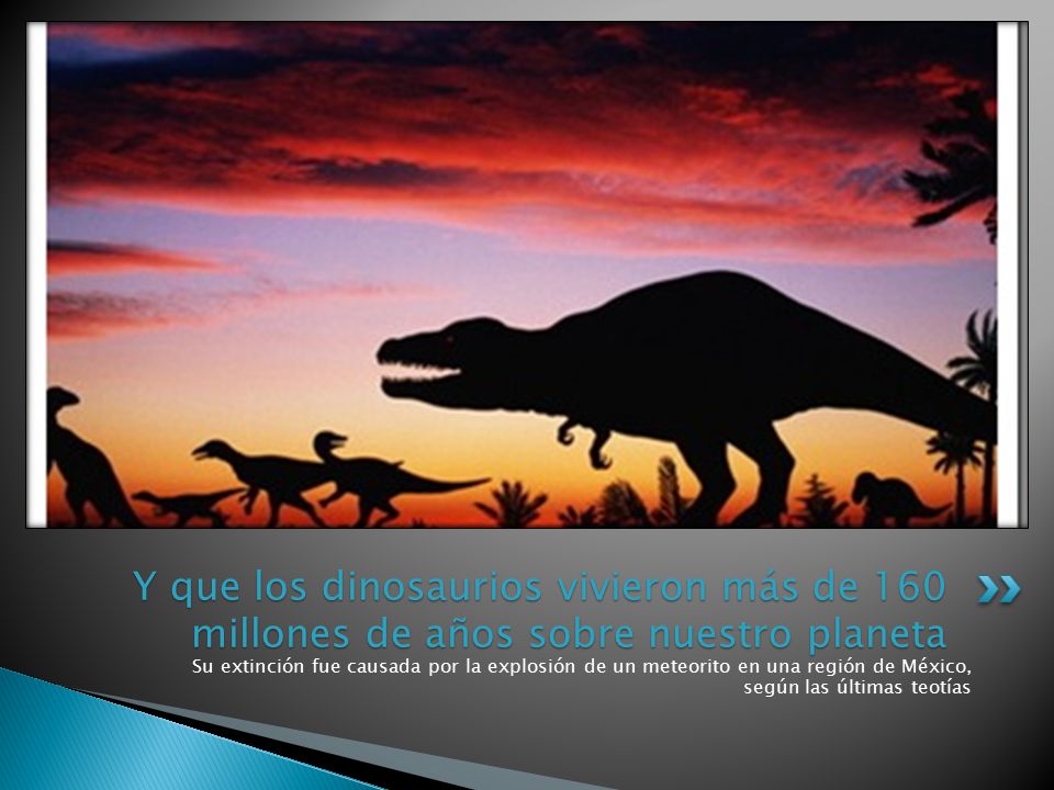 Y que los dinosaurios vivieron más de 160 millones de años sobre nuestro planeta
