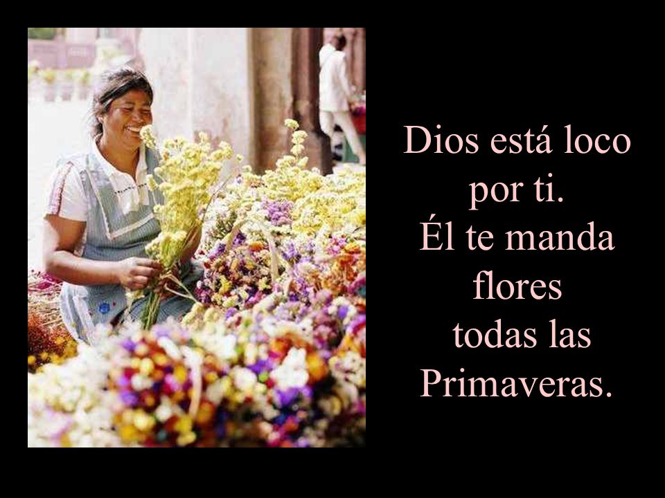 Dios está loco por ti. Él te manda flores todas las Primaveras.