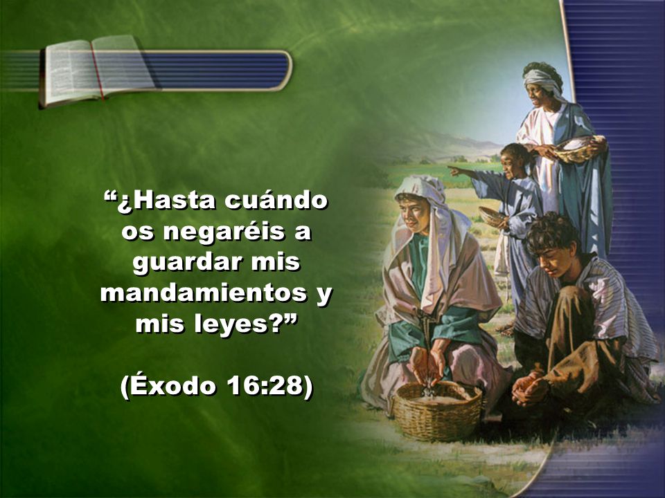 ¿Hasta cuándo os negaréis a guardar mis mandamientos y mis leyes