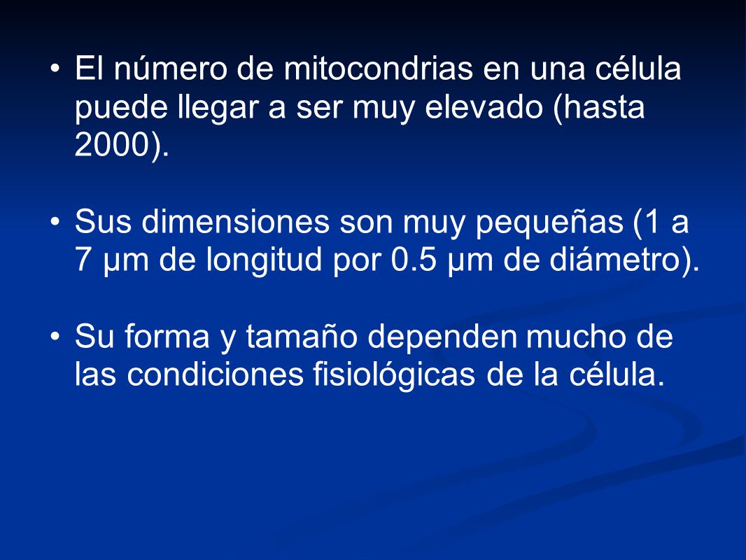 El número de mitocondrias en una célula puede llegar a ser muy elevado (hasta 2000).