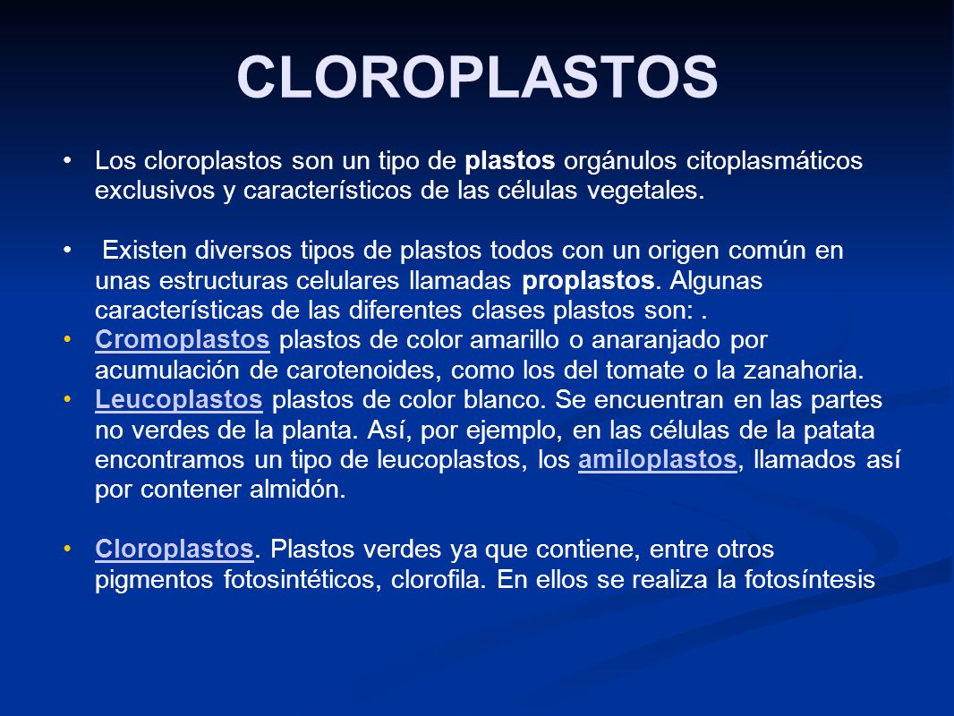 CLOROPLASTOS Los cloroplastos son un tipo de plastos orgánulos citoplasmáticos exclusivos y característicos de las células vegetales.