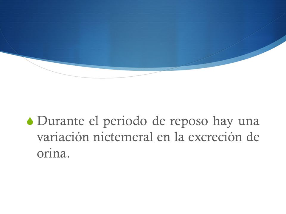 Durante el periodo de reposo hay una variación nictemeral en la excreción de orina.