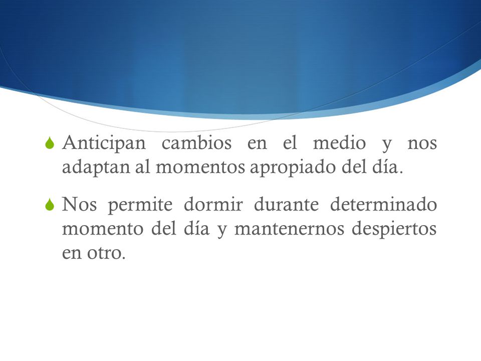 Anticipan cambios en el medio y nos adaptan al momentos apropiado del día.