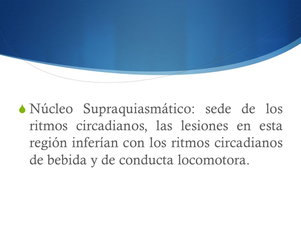 Núcleo Supraquiasmático: sede de los ritmos circadianos, las lesiones en esta región inferían con los ritmos circadianos de bebida y de conducta locomotora.