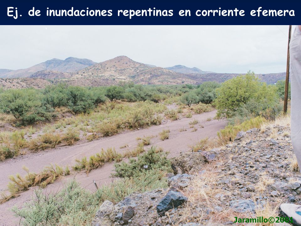Ej. de inundaciones repentinas en corriente efemera