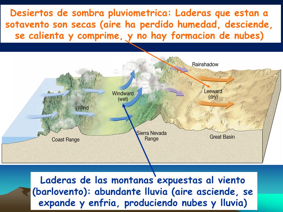 Desiertos de sombra pluviometrica: Laderas que estan a sotavento son secas (aire ha perdido humedad, desciende, se calienta y comprime, y no hay formacion de nubes)
