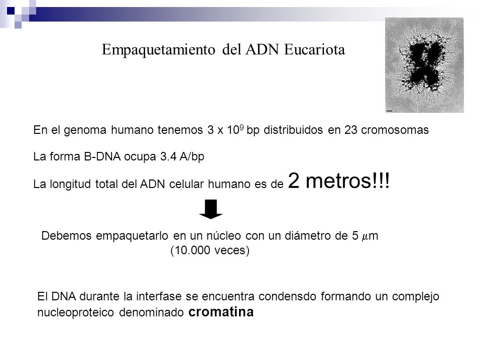 Debemos empaquetarlo en un núcleo con un diámetro de 5 mm