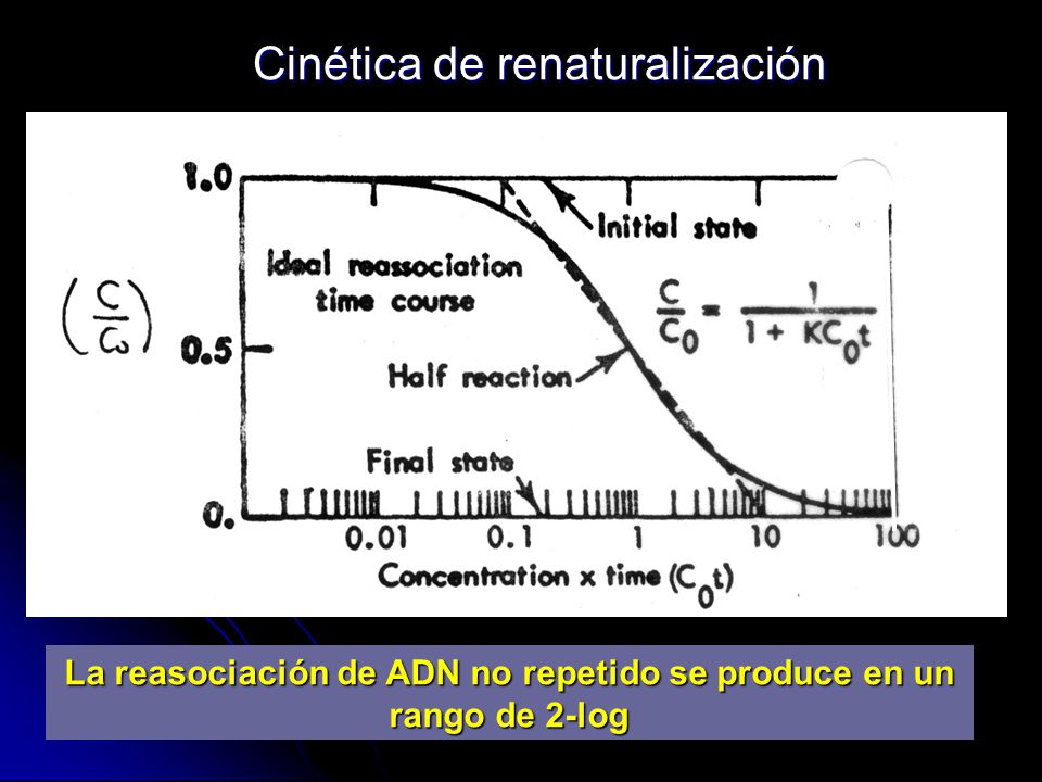 La reasociación de ADN no repetido se produce en un rango de 2-log