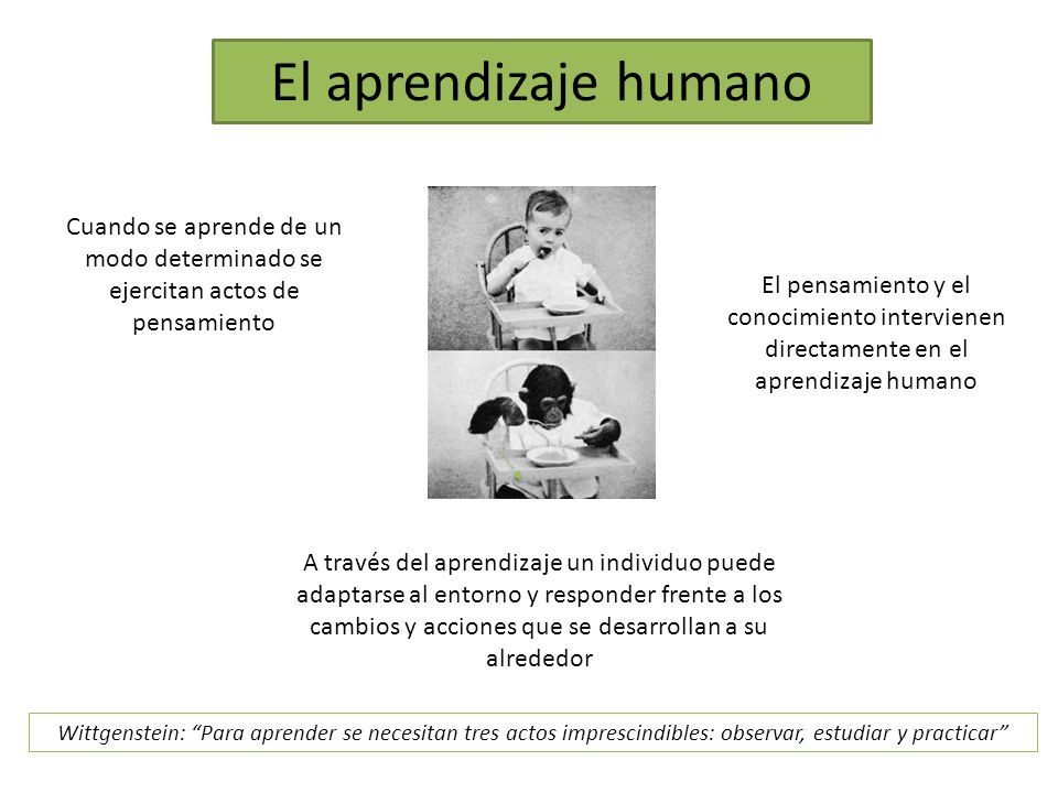El aprendizaje humano Cuando se aprende de un modo determinado se ejercitan actos de pensamiento.