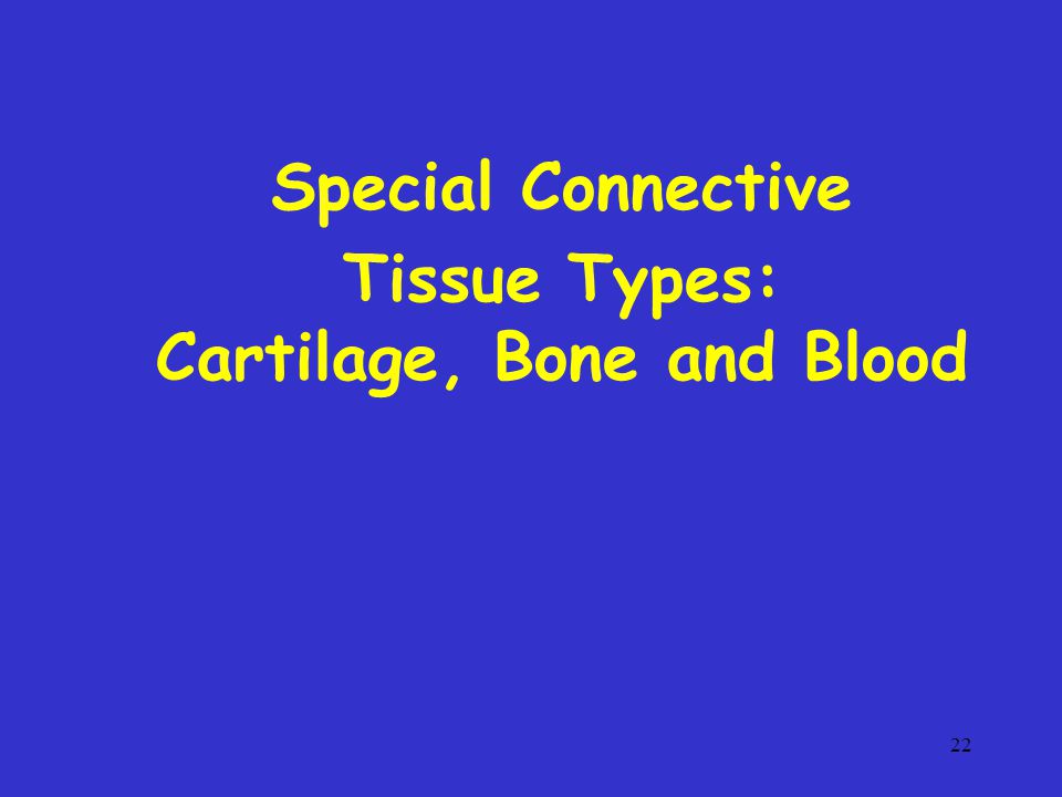 Tissue Types: Cartilage, Bone and Blood
