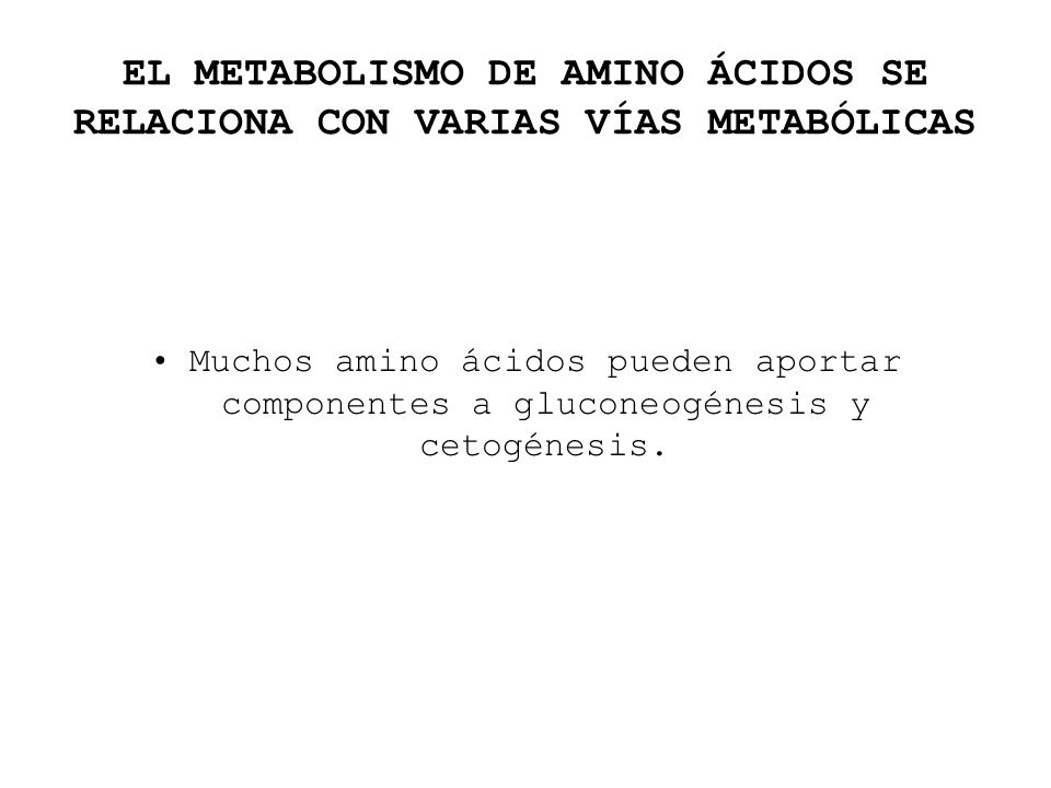 EL METABOLISMO DE AMINO ÁCIDOS SE RELACIONA CON VARIAS VÍAS METABÓLICAS