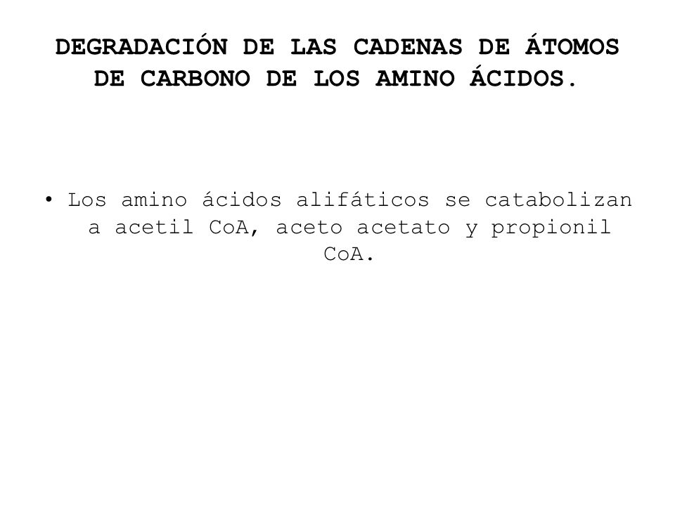 DEGRADACIÓN DE LAS CADENAS DE ÁTOMOS DE CARBONO DE LOS AMINO ÁCIDOS.