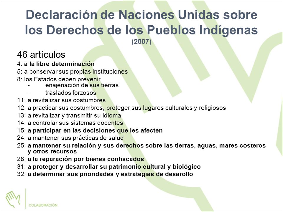 Declaración de Naciones Unidas sobre los Derechos de los Pueblos Indígenas (2007)