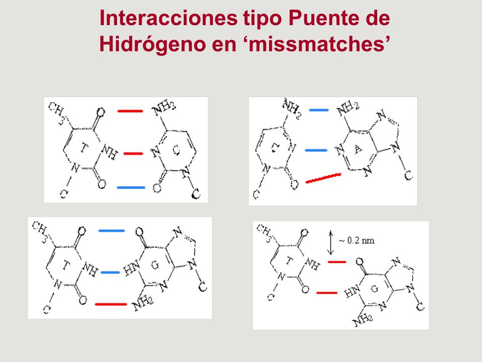 Interacciones tipo Puente de Hidrógeno en ‘missmatches’