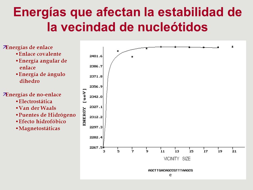 Energías que afectan la estabilidad de la vecindad de nucleótidos