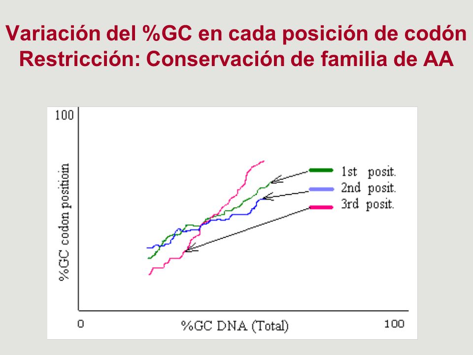 Variación del %GC en cada posición de codón Restricción: Conservación de familia de AA