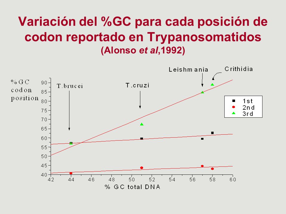 Variación del %GC para cada posición de codon reportado en Trypanosomatidos (Alonso et al,1992)