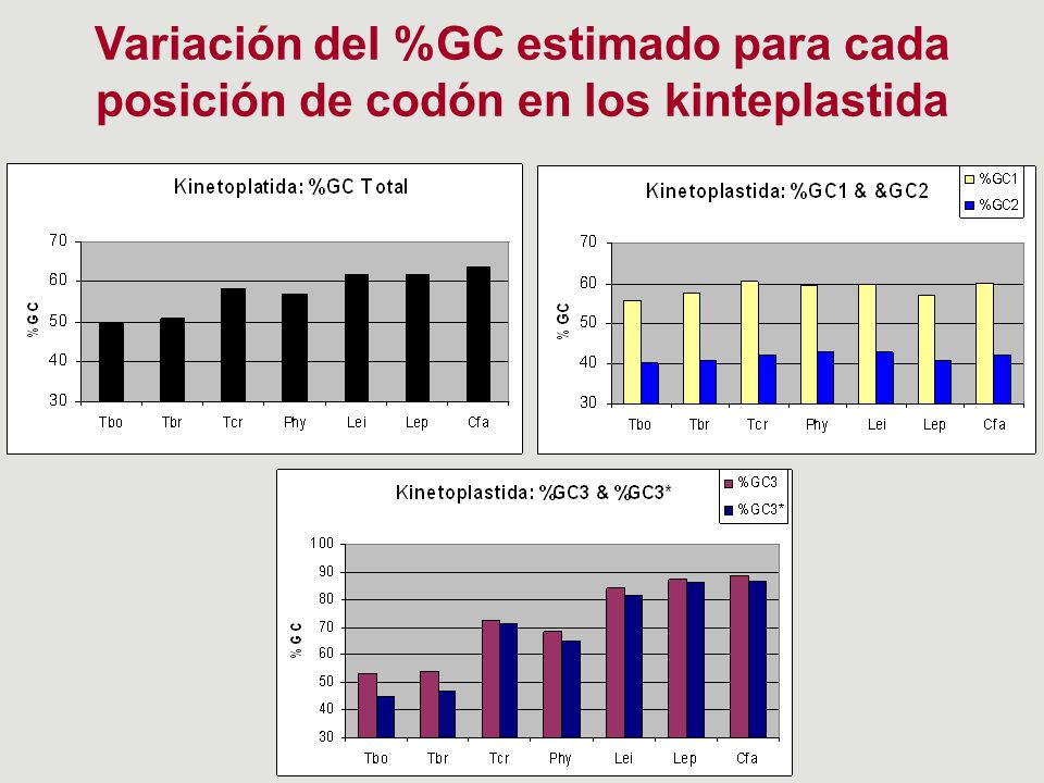 Variación del %GC estimado para cada posición de codón en los kinteplastida