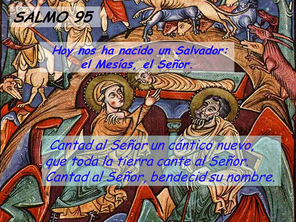 Hoy nos ha nacido un Salvador: el Mesías, el Señor.