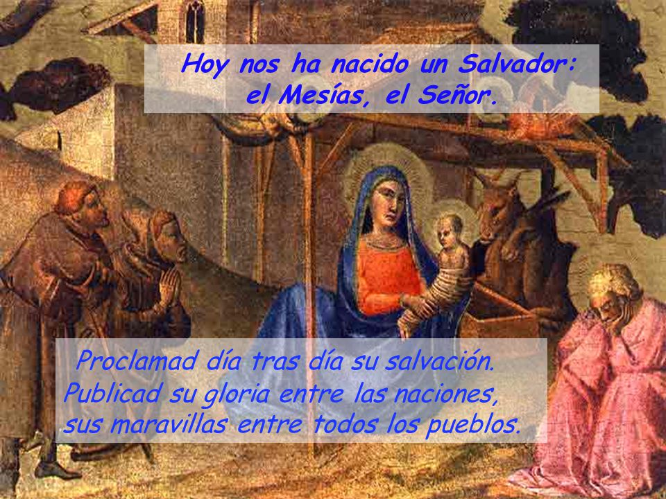 Hoy nos ha nacido un Salvador: el Mesías, el Señor.