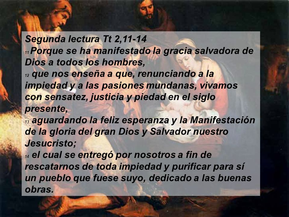 Segunda lectura Tt 2, Porque se ha manifestado la gracia salvadora de Dios a todos los hombres,