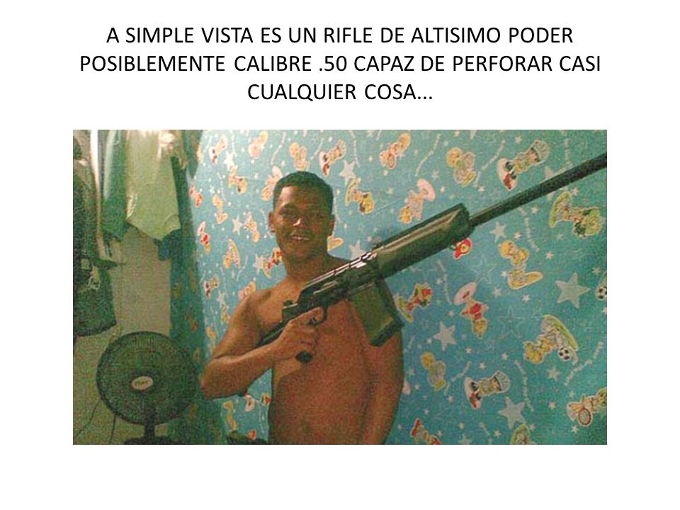 A SIMPLE VISTA ES UN RIFLE DE ALTISIMO PODER POSIBLEMENTE CALIBRE