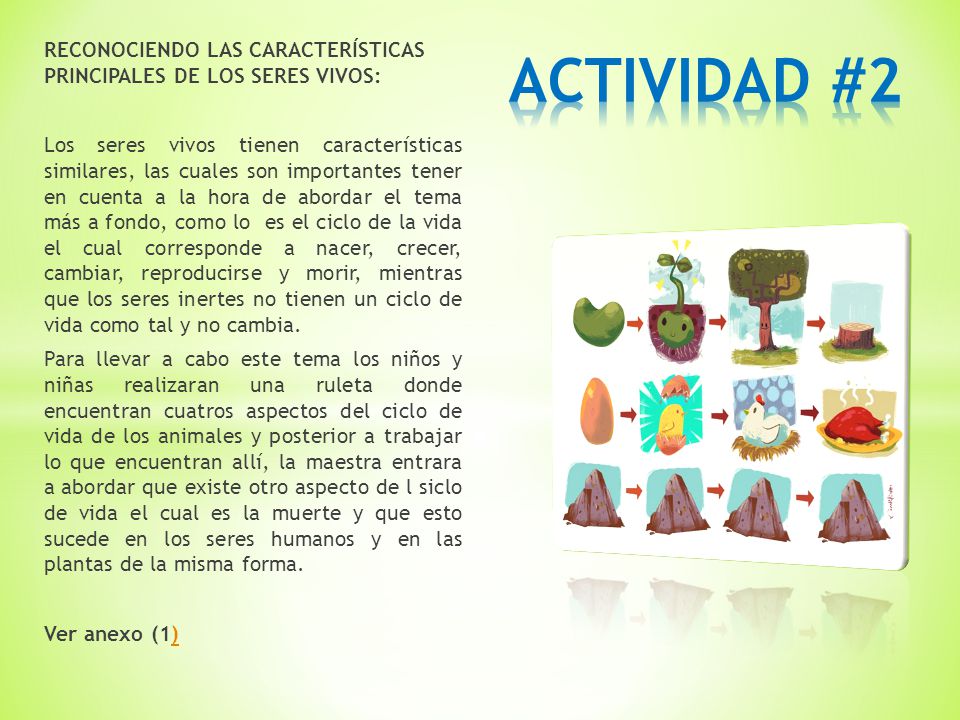 ACTIVIDAD #2 RECONOCIENDO LAS CARACTERÍSTICAS PRINCIPALES DE LOS SERES VIVOS: