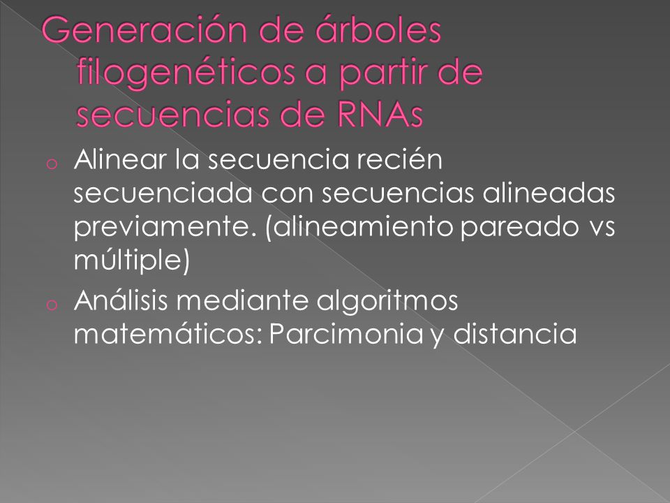 Generación de árboles filogenéticos a partir de secuencias de RNAs