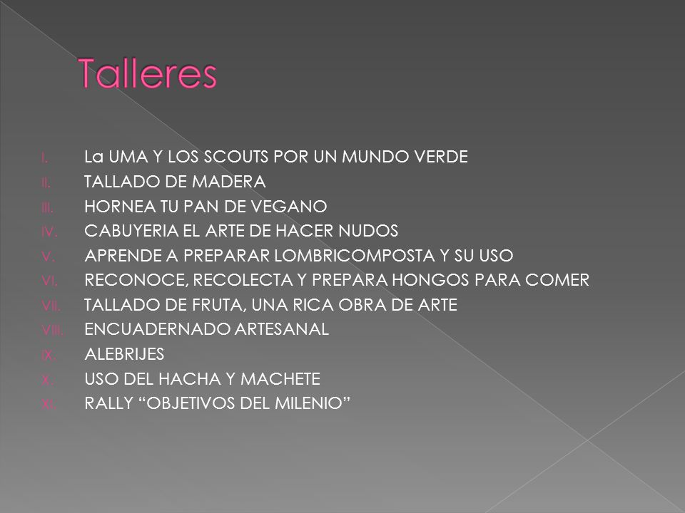 Talleres La UMA Y LOS SCOUTS POR UN MUNDO VERDE TALLADO DE MADERA