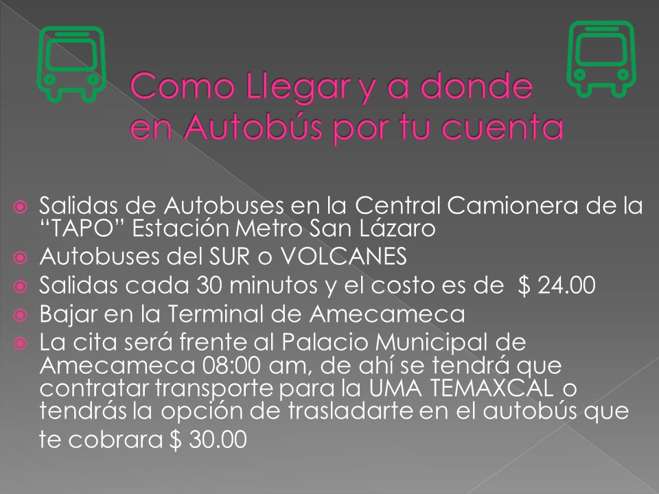 Como Llegar y a donde en Autobús por tu cuenta