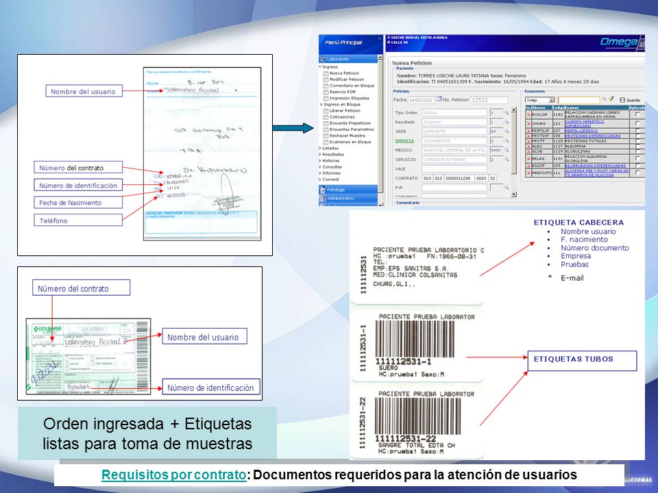 Orden ingresada + Etiquetas listas para toma de muestras