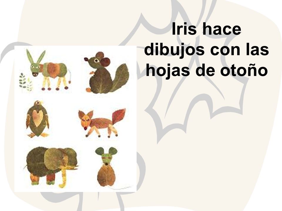 Iris hace dibujos con las hojas de otoño