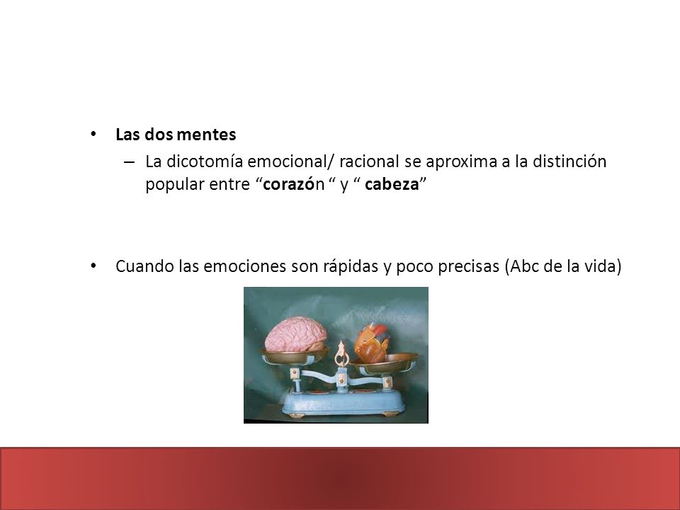 Las dos mentes La dicotomía emocional/ racional se aproxima a la distinción popular entre corazón y cabeza