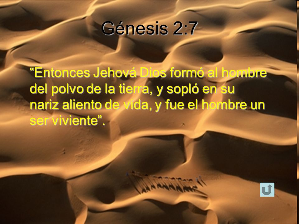 Génesis 2:7 Entonces Jehová Dios formó al hombre del polvo de la tierra, y sopló en su nariz aliento de vida, y fue el hombre un ser viviente .