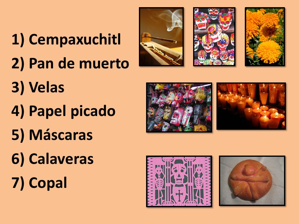 1) Cempaxuchitl 2) Pan de muerto 3) Velas 4) Papel picado 5) Máscaras 6) Calaveras 7) Copal