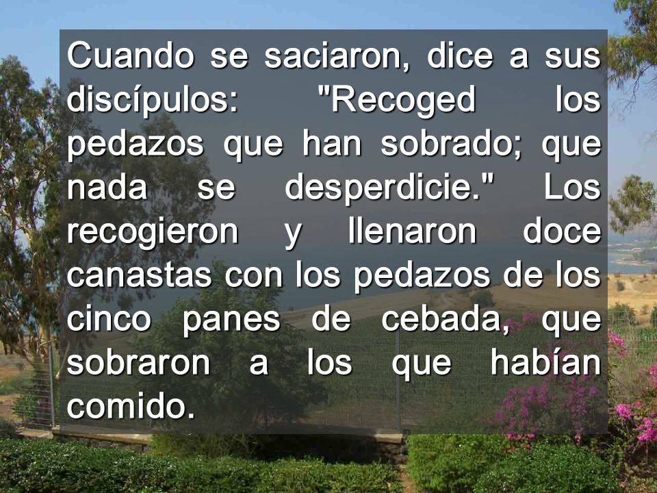 Cuando se saciaron, dice a sus discípulos: Recoged los pedazos que han sobrado; que nada se desperdicie. Los recogieron y llenaron doce canastas con los pedazos de los cinco panes de cebada, que sobraron a los que habían comido.